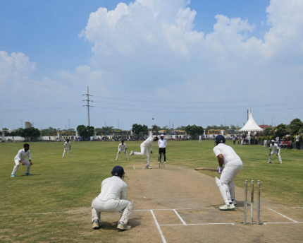 Real Cricket
